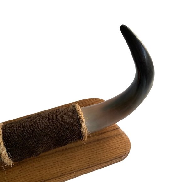Animal Horn Bull Buffalo ? Mounted 18" Width - Picture 6 of 8